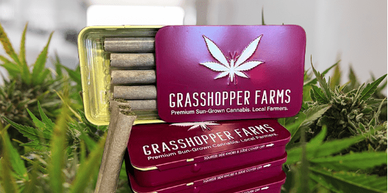 Grasshopper Farms, Monday, May 15, 2023, Press release picture