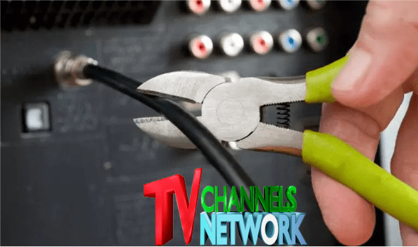 TV Channels Network Inc., Thursday, July 27, 2023, Press release picture