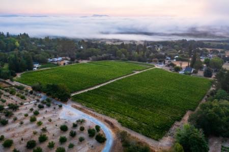 MacIntyre Vineyard in Green Valley